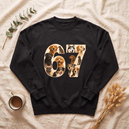 67 Dogs Shirt, Funny 67 Meme Dog Tee, Trendy Dog Number Gift, Dog Lover Sweatshirt