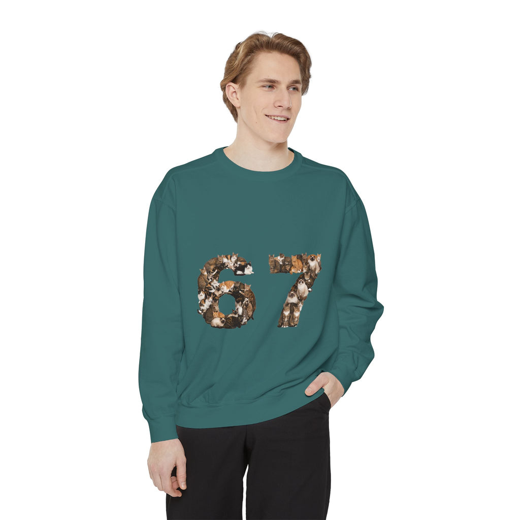 67 Cats Shirt, Funny 67 Meme Cat Tee, Trendy Cat Number Gift, Cat Lover Sweatshirt