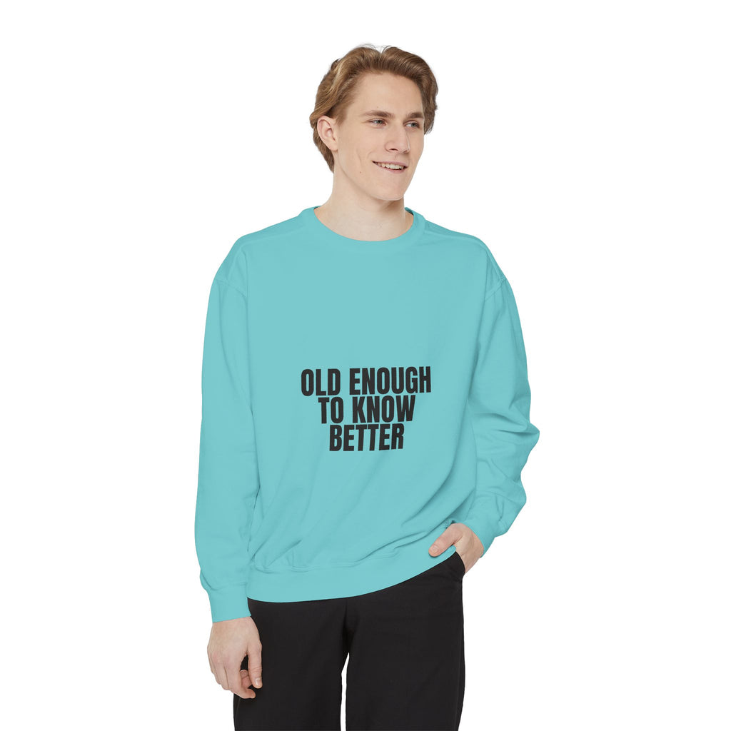 Old Enough To Know Better Shirt, Funny Sarcastic Tee, Gag Gift, Humor Sweatshirt
