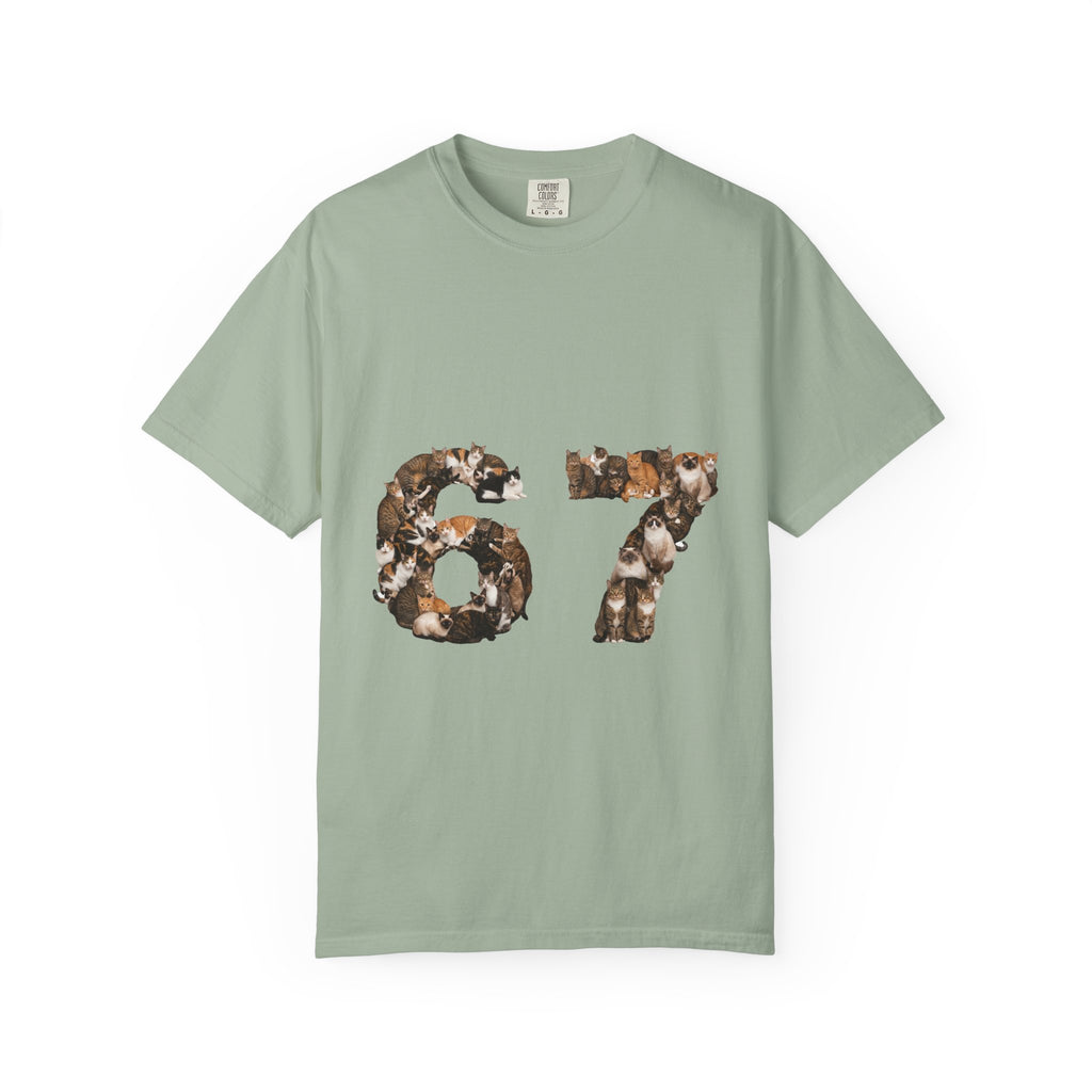 67 Cats Shirt, Funny 67 Meme Cat Tee, Trendy Cat Number Gift, Cat Lover Sweatshirt