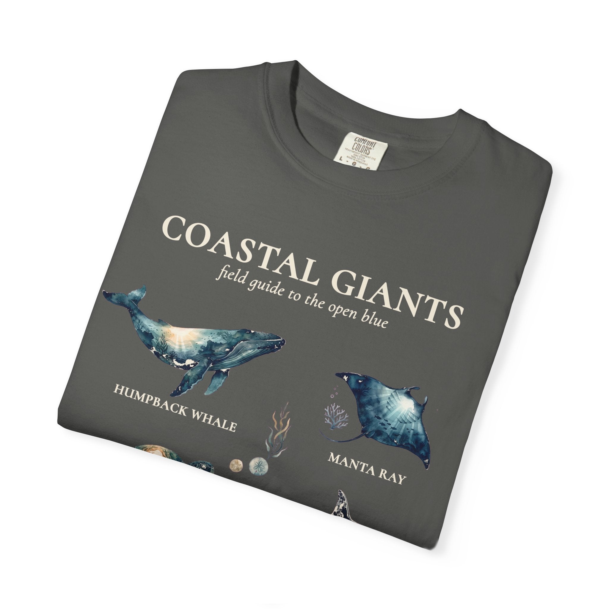 Coastal Giants Ocean Field Guide Shirt, Whale Manta Sea Turtle Tee, Marine Life Ocean Lover Gift, Nautical Sweatshirt