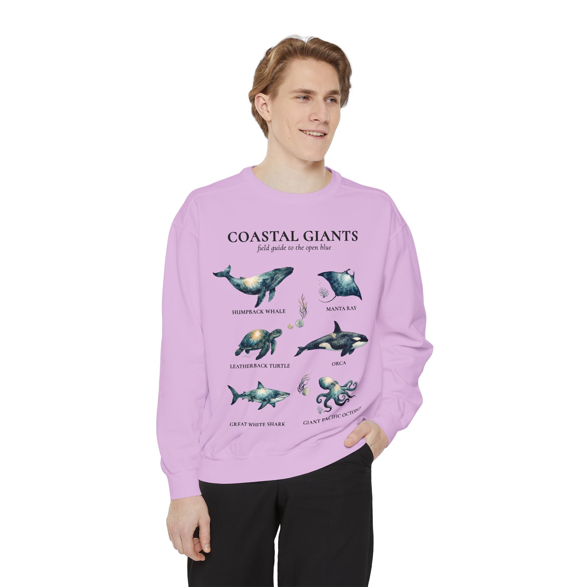 Coastal Giants Ocean Field Guide Shirt, Whale Manta Sea Turtle Tee, Marine Life Ocean Lover Gift, Nautical Sweatshirt