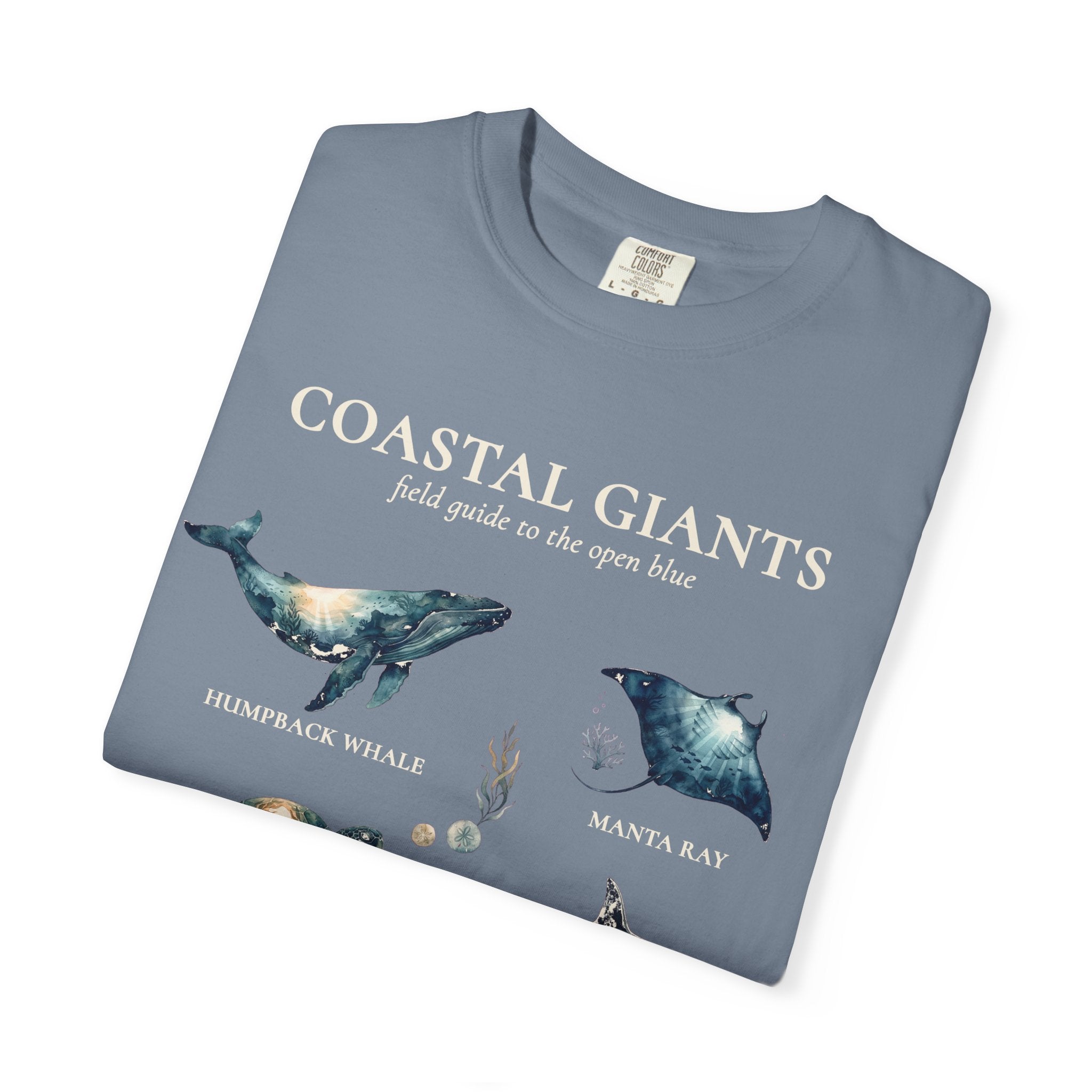 Coastal Giants Ocean Field Guide Shirt, Whale Manta Sea Turtle Tee, Marine Life Ocean Lover Gift, Nautical Sweatshirt
