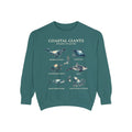 Coastal Giants Ocean Field Guide Shirt, Whale Manta Sea Turtle Tee, Marine Life Ocean Lover Gift, Nautical Sweatshirt