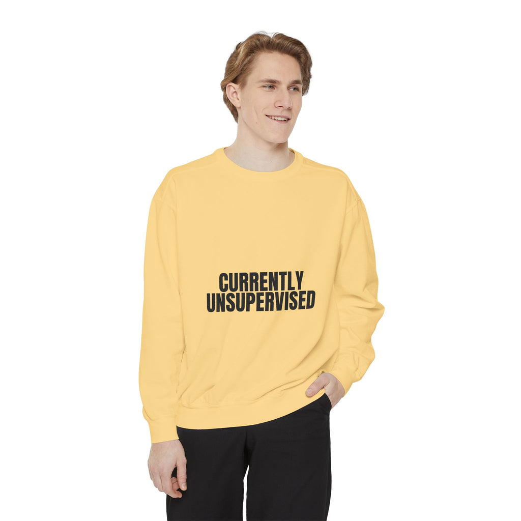 Currently Unsupervised Shirt, Funny Sarcastic Tee, Gag Gift, Humor Sweatshirt