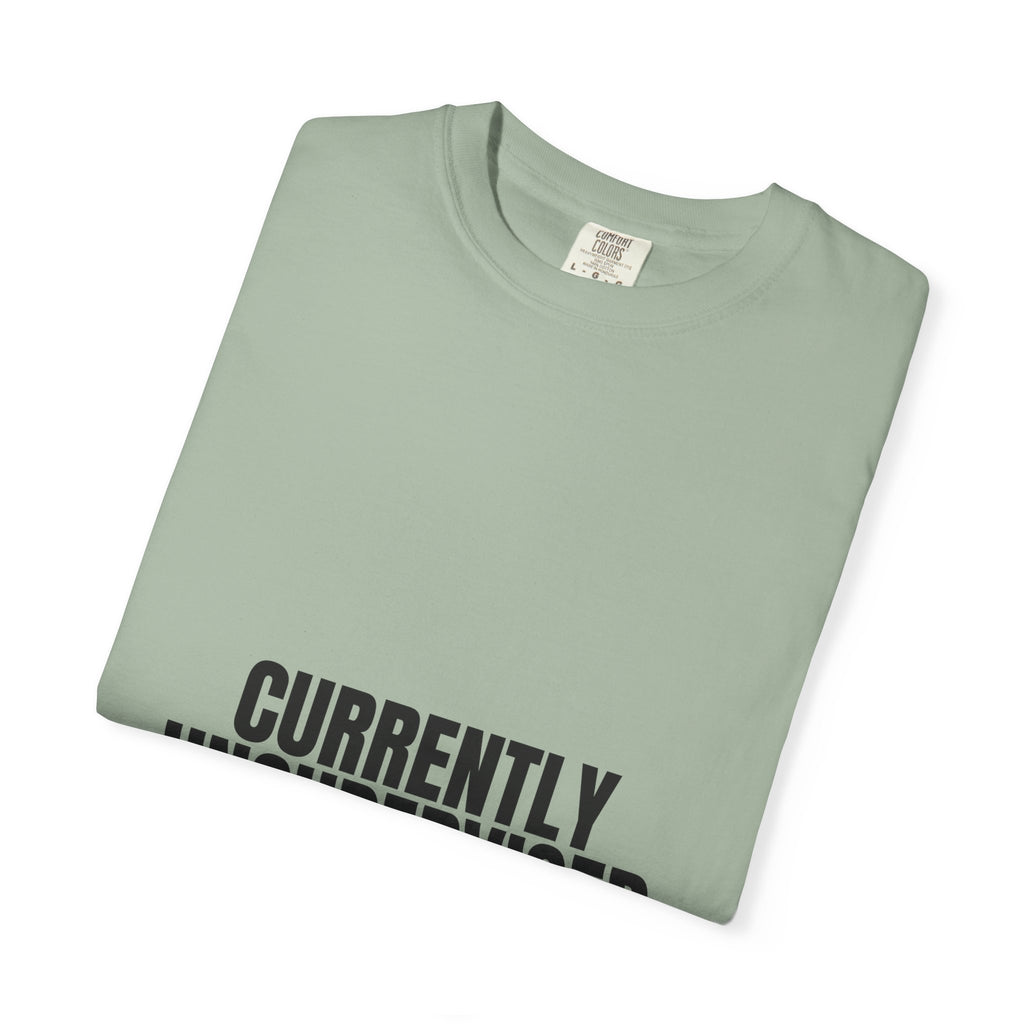 Currently Unsupervised Shirt, Funny Sarcastic Tee, Gag Gift, Humor Sweatshirt