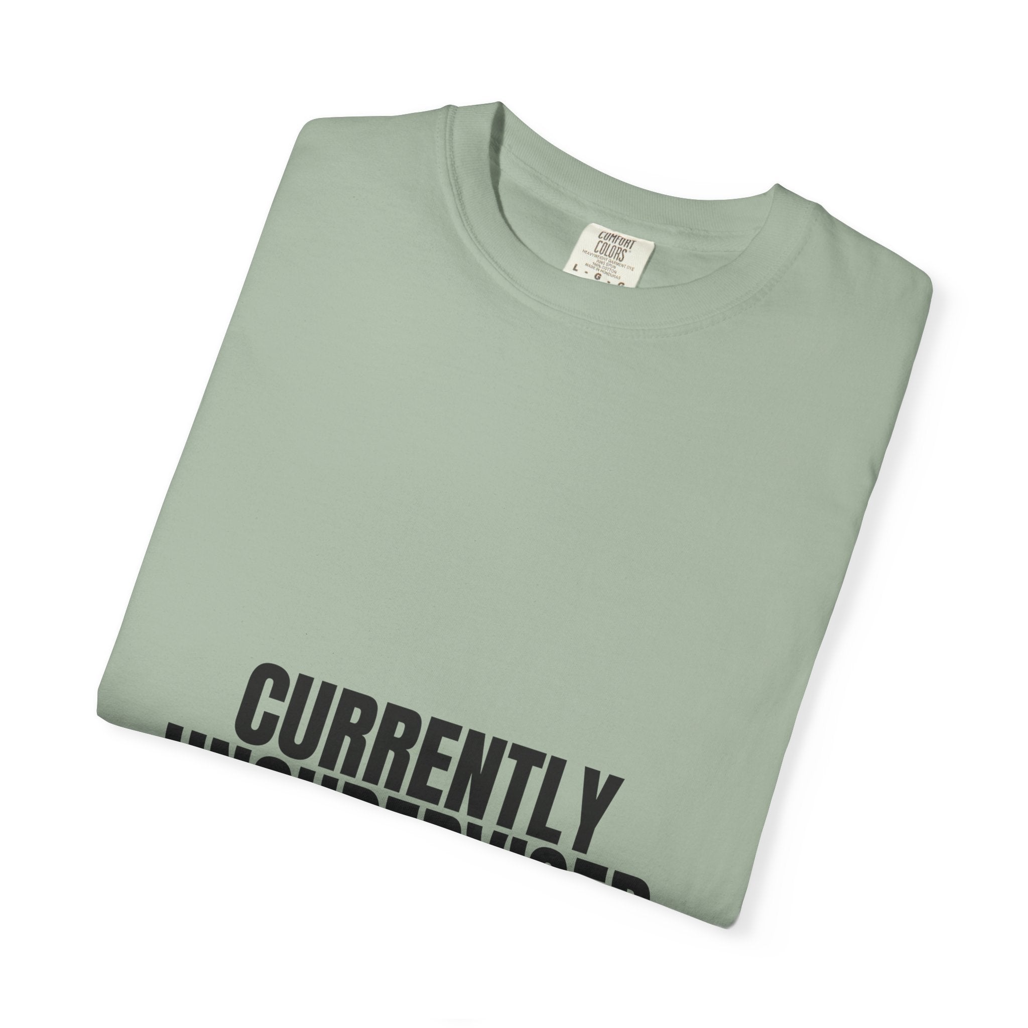 Currently Unsupervised Shirt, Funny Sarcastic Tee, Gag Gift, Humor Sweatshirt