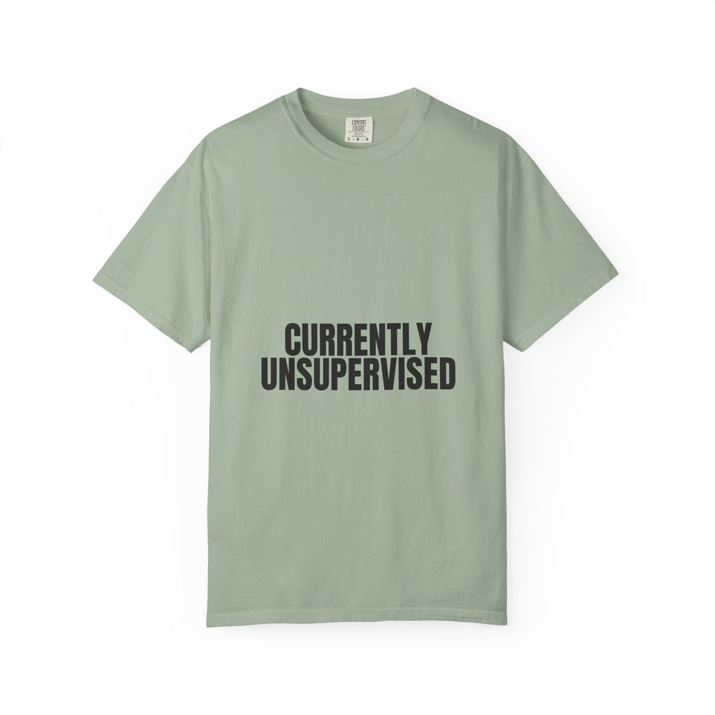 Currently Unsupervised Shirt, Funny Sarcastic Tee, Gag Gift, Humor Sweatshirt