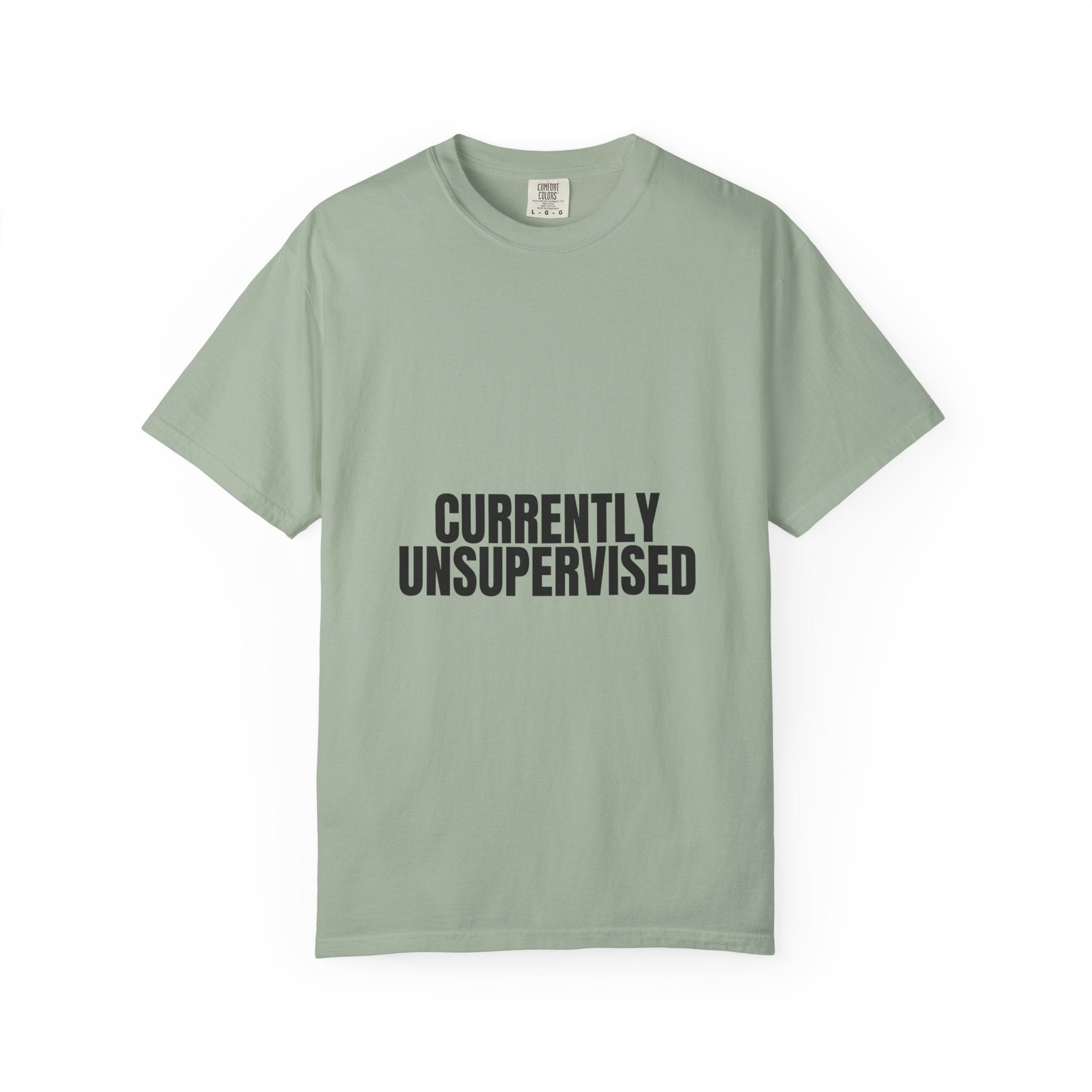 Currently Unsupervised Shirt, Funny Sarcastic Tee, Gag Gift, Humor Sweatshirt