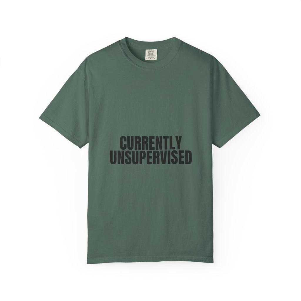 Currently Unsupervised Shirt, Funny Sarcastic Tee, Gag Gift, Humor Sweatshirt