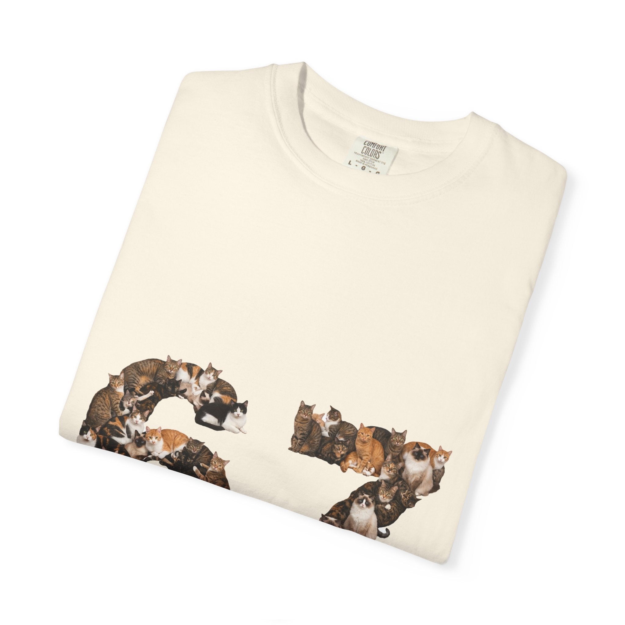 67 Cats Shirt, Funny 67 Meme Cat Tee, Trendy Cat Number Gift, Cat Lover Sweatshirt