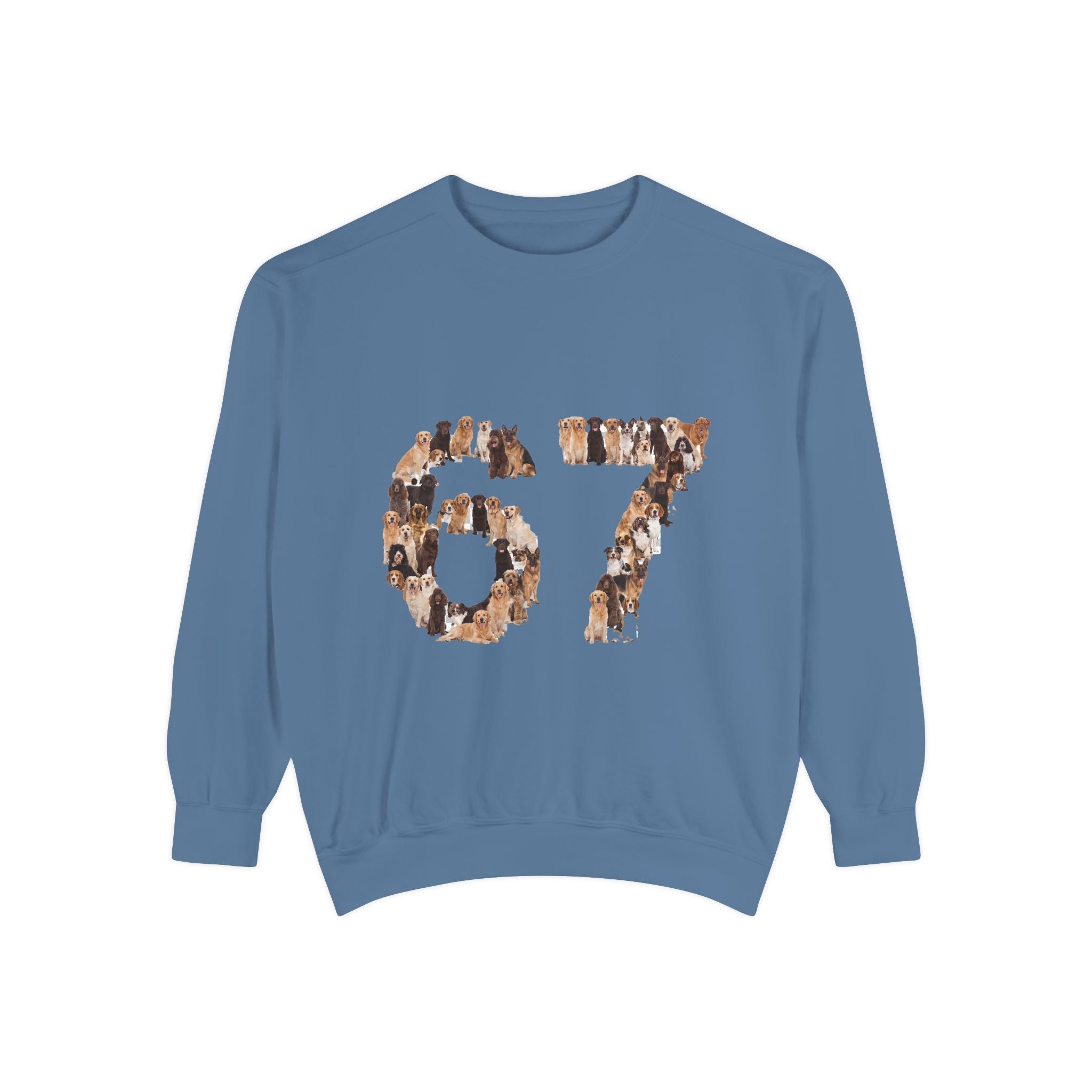 67 Dogs Shirt, Funny 67 Meme Dog Tee, Trendy Dog Number Gift, Dog Lover Sweatshirt
