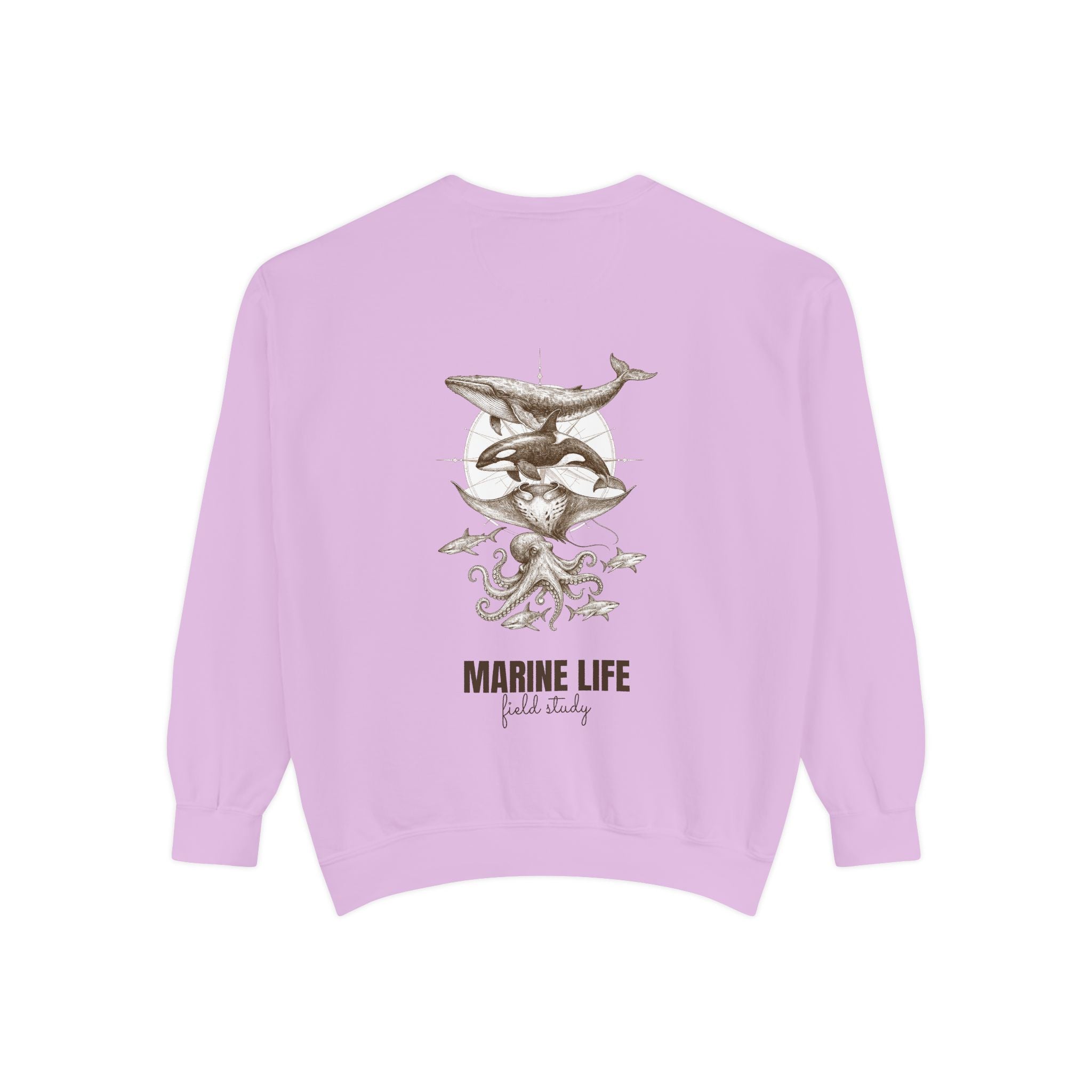 Ocean Life Sketch Shirt, Vintage Marine Animals Tee, Sailor Journal Sea Life Gift, Nautical Ocean Lover Sweatshirt