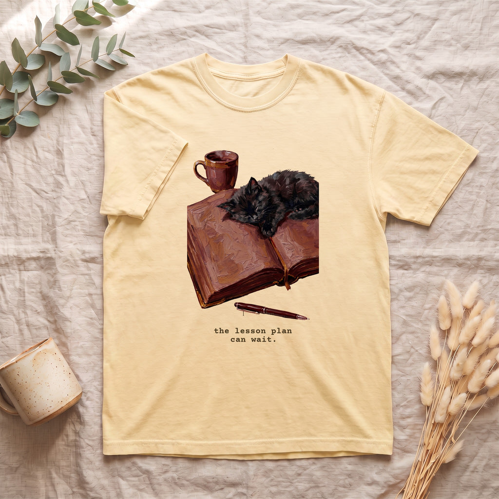 The Lesson Plan Can Wait Shirt, Funny Teacher Tee, Cozy Cat Teacher Tee, Teacher Appreciation Gift