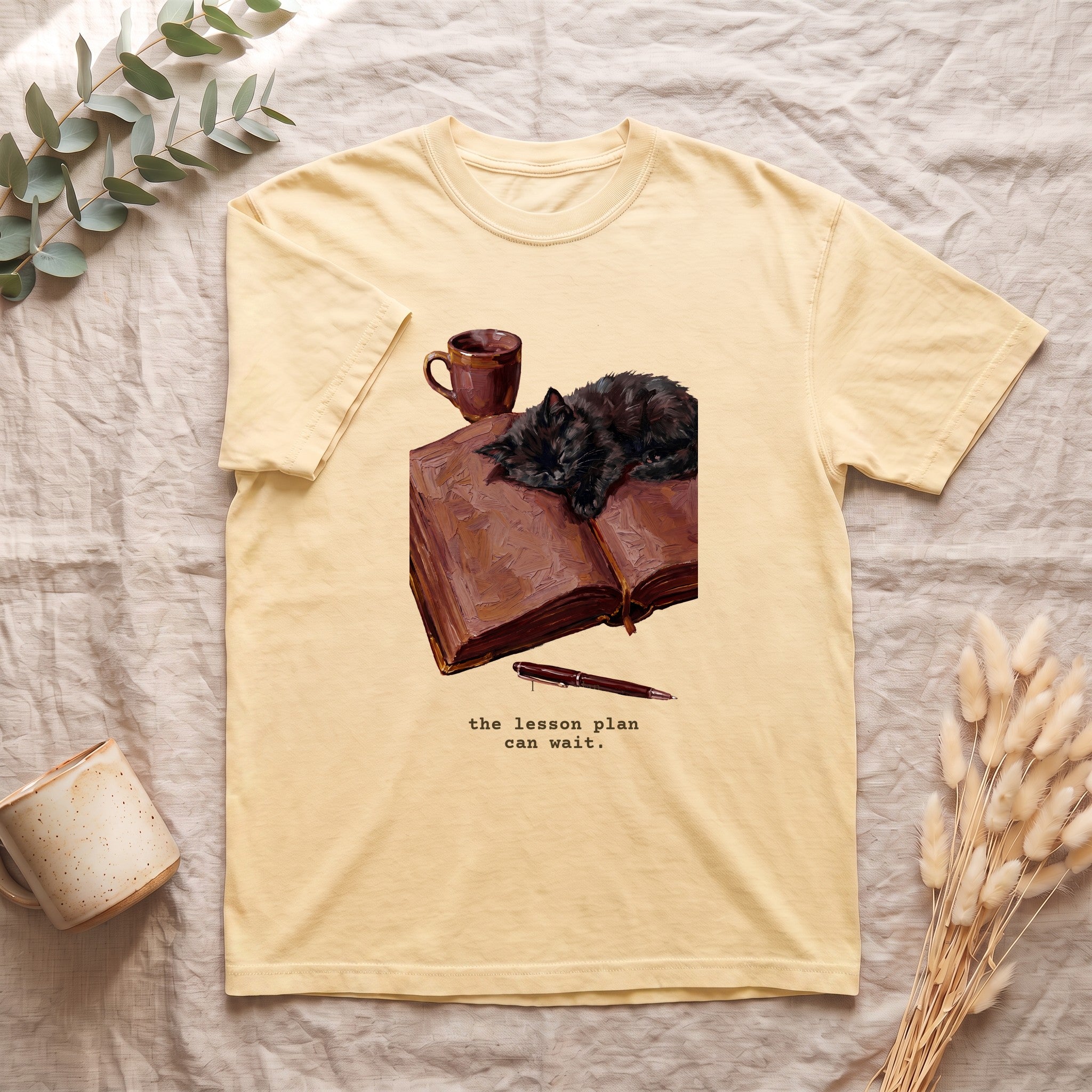 The Lesson Plan Can Wait Shirt, Funny Teacher Tee, Cozy Cat Teacher Tee, Teacher Appreciation Gift