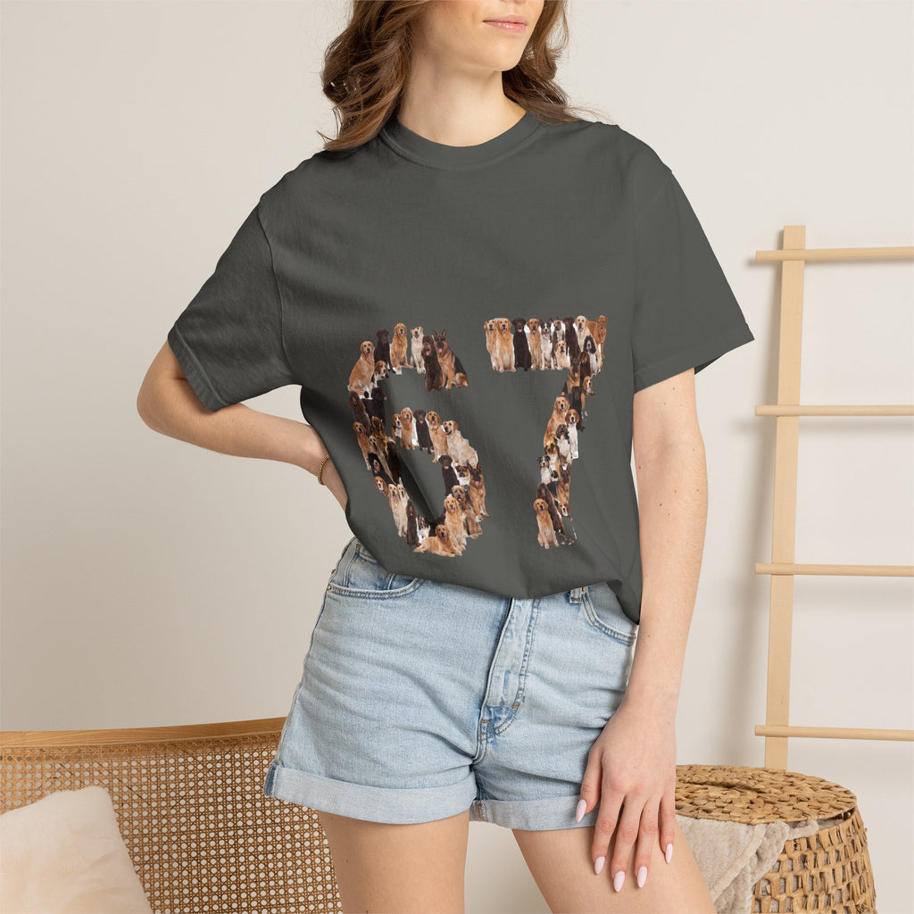 67 Dogs Shirt, Funny 67 Meme Dog Tee, Trendy Dog Number Gift, Dog Lover Sweatshirt