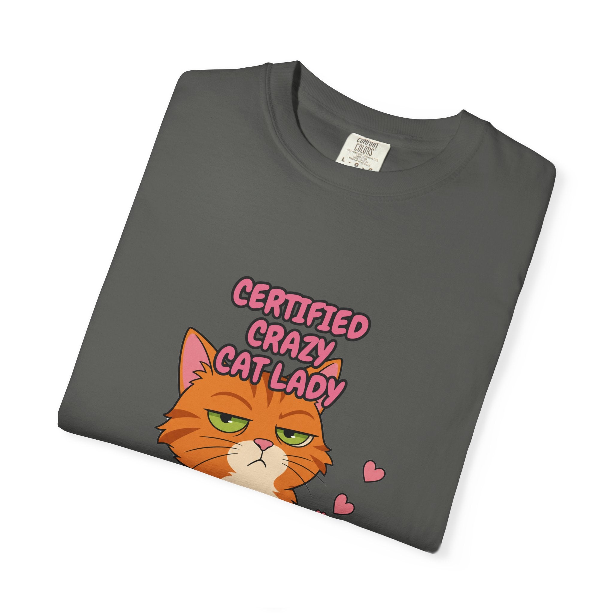 Certified Crazy Cat Lady Shirt, Orange Cat Mom Tee, Ginger Cat Lover Gift, Funny Cat Owner Sweatshirt