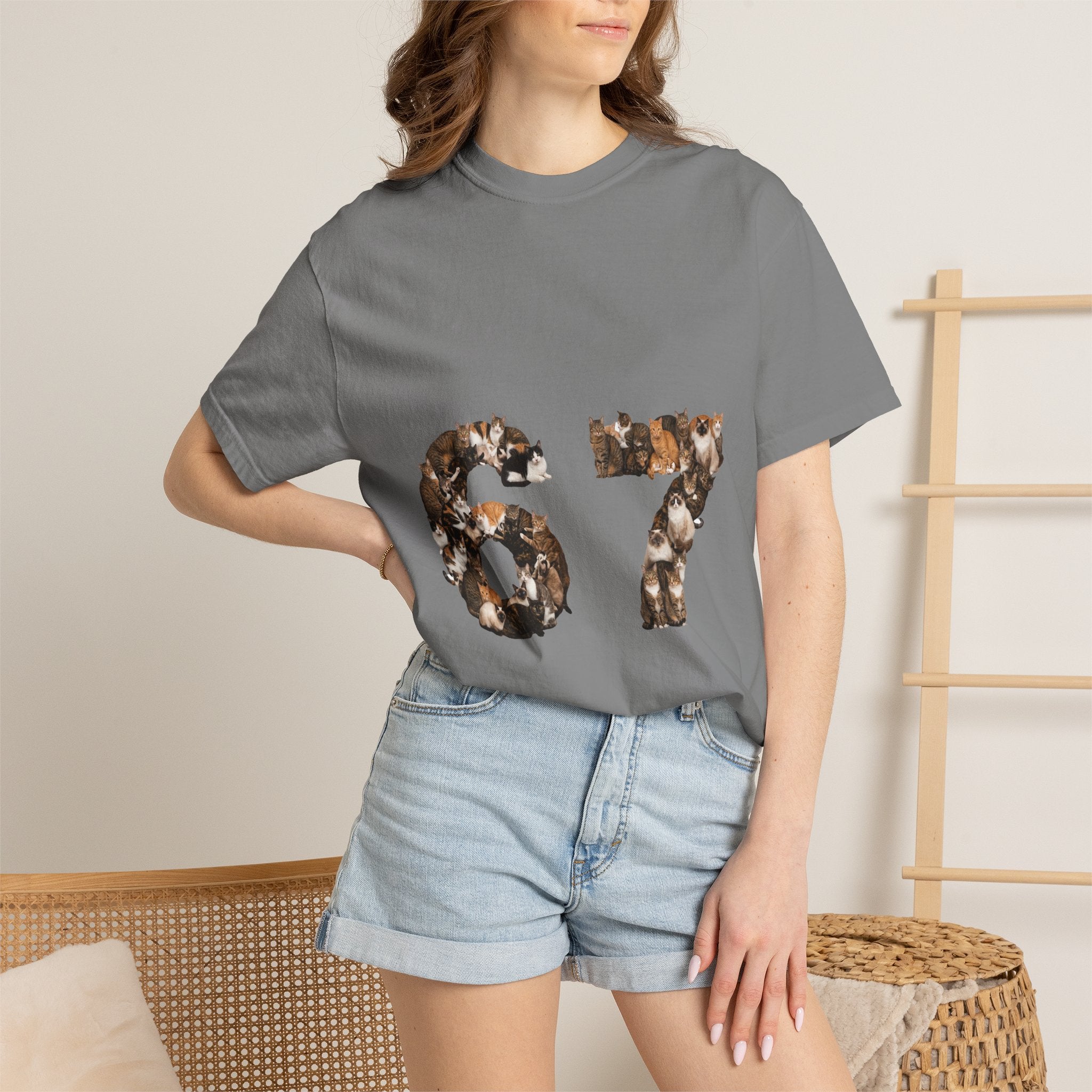 67 Cats Shirt, Funny 67 Meme Cat Tee, Trendy Cat Number Gift, Cat Lover Sweatshirt