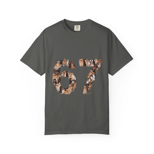 67 Dogs Shirt, Funny 67 Meme Dog Tee, Trendy Dog Number Gift, Dog Lover Sweatshirt