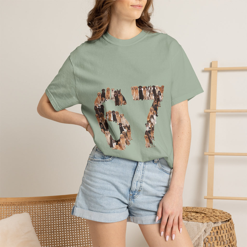 67 Dogs Shirt, Funny 67 Meme Dog Tee, Trendy Dog Number Gift, Dog Lover Sweatshirt