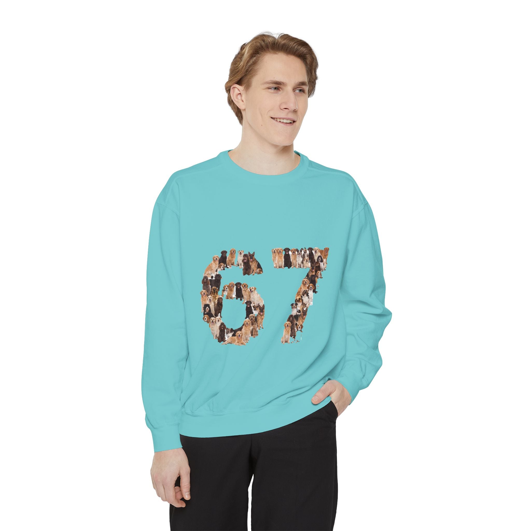 67 Dogs Shirt, Funny 67 Meme Dog Tee, Trendy Dog Number Gift, Dog Lover Sweatshirt