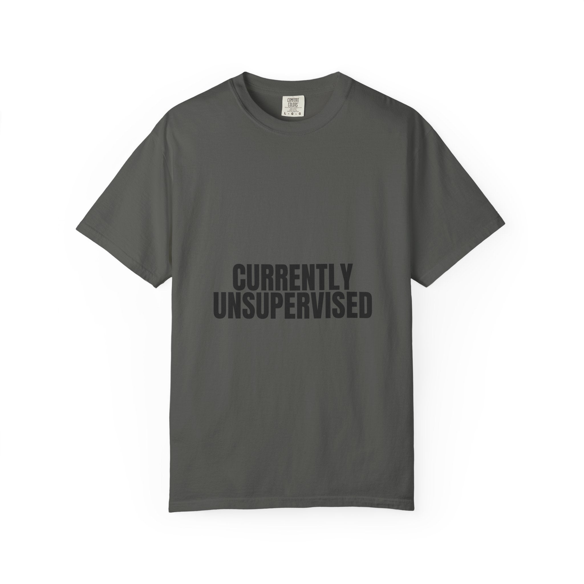 Currently Unsupervised Shirt, Funny Sarcastic Tee, Gag Gift, Humor Sweatshirt