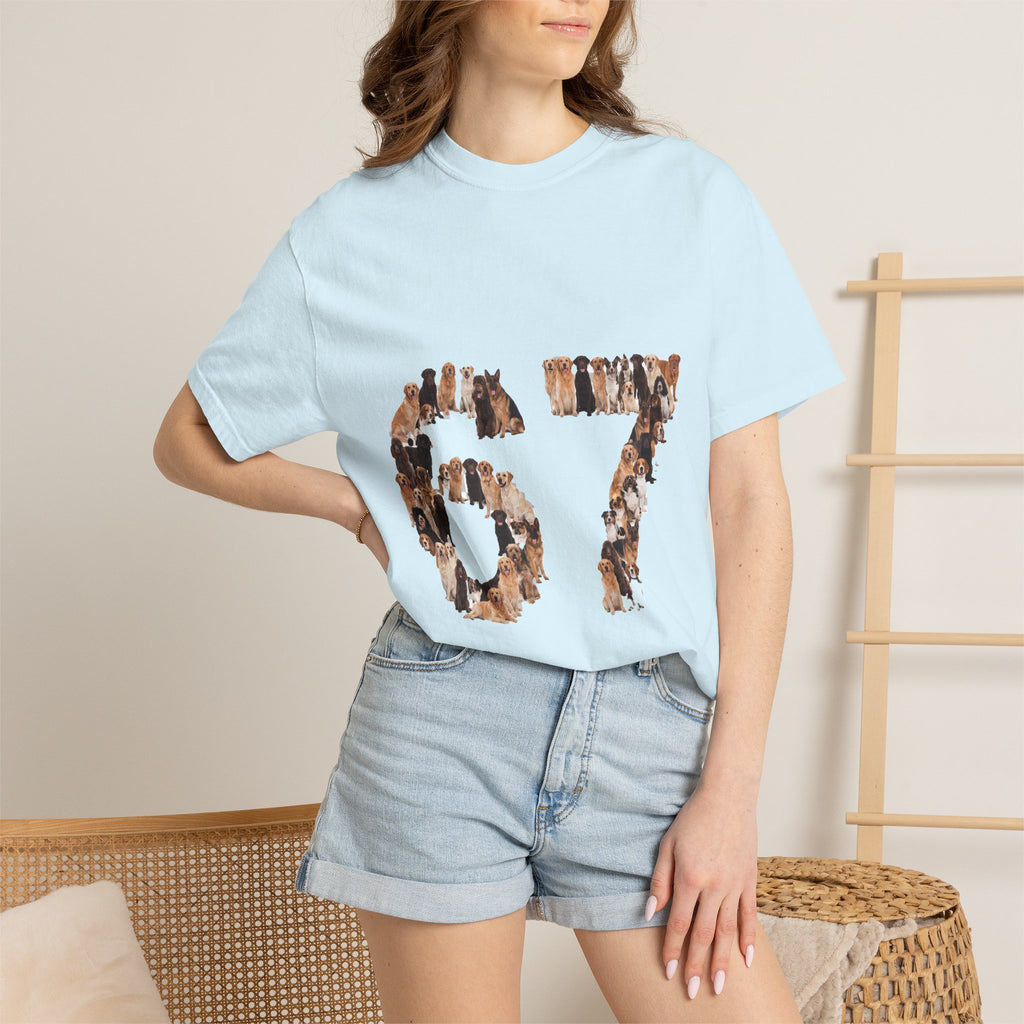 67 Dogs Shirt, Funny 67 Meme Dog Tee, Trendy Dog Number Gift, Dog Lover Sweatshirt