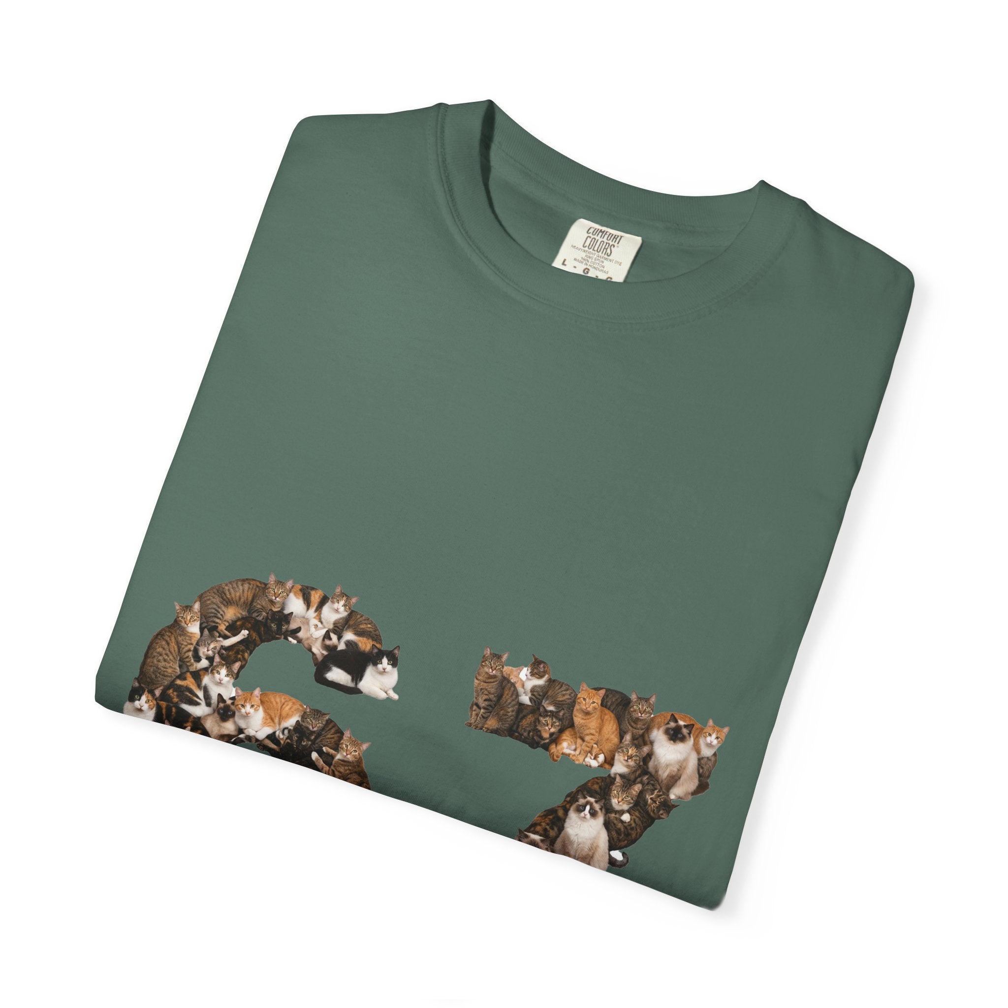 67 Cats Shirt, Funny 67 Meme Cat Tee, Trendy Cat Number Gift, Cat Lover Sweatshirt