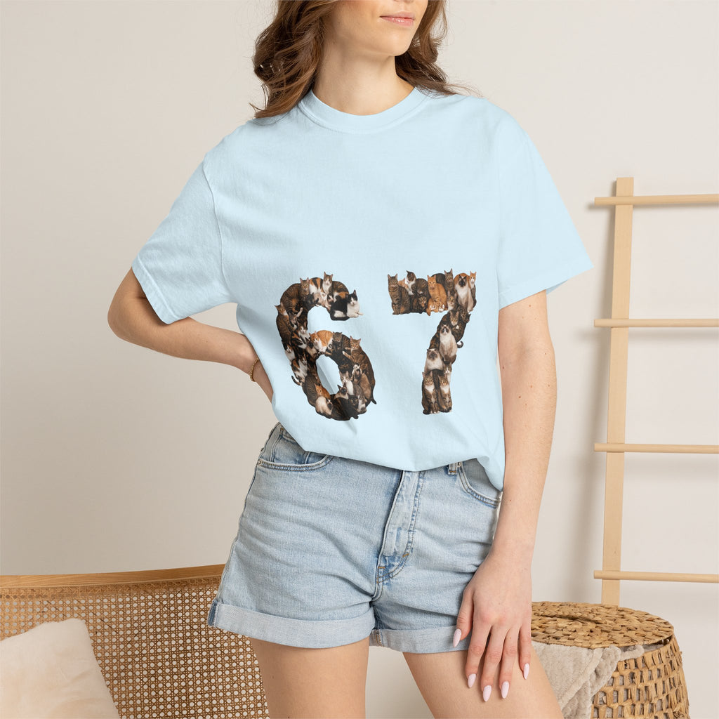 67 Cats Shirt, Funny 67 Meme Cat Tee, Trendy Cat Number Gift, Cat Lover Sweatshirt