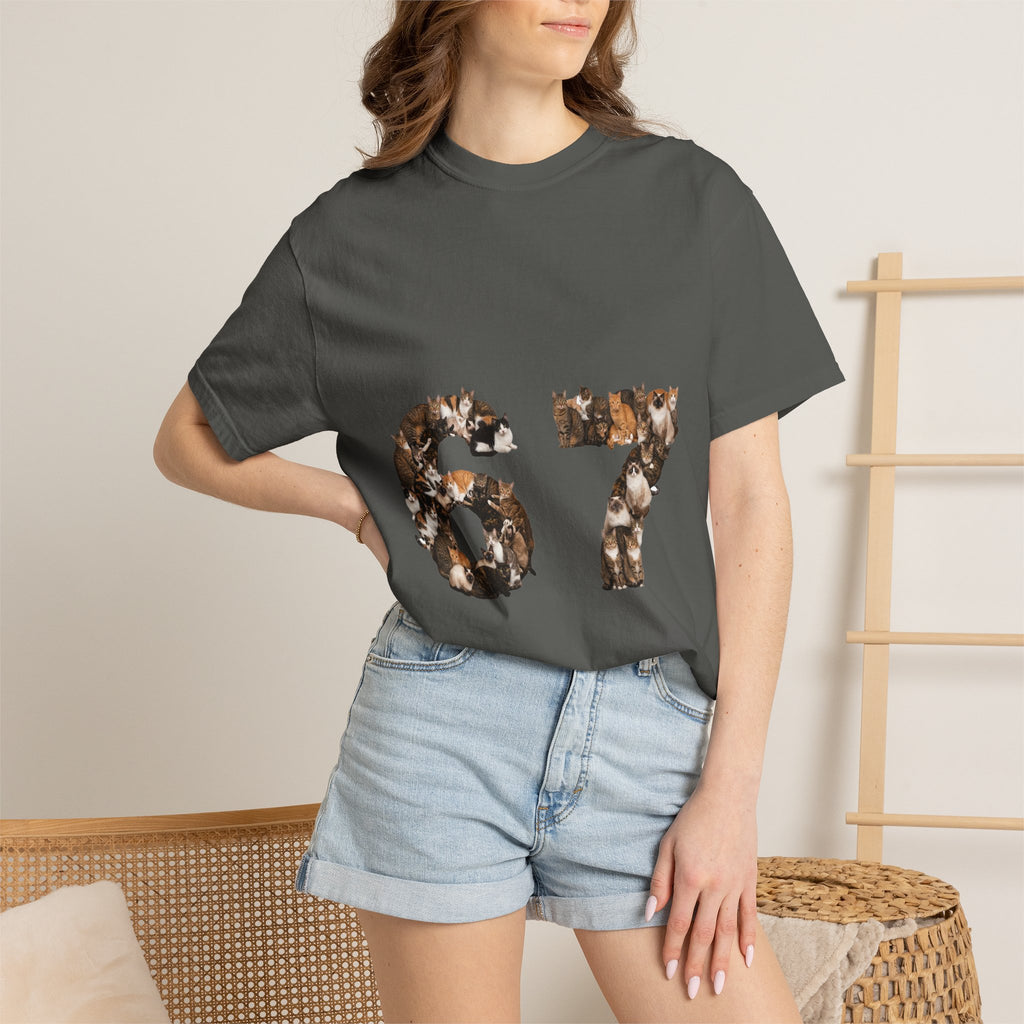 67 Cats Shirt, Funny 67 Meme Cat Tee, Trendy Cat Number Gift, Cat Lover Sweatshirt