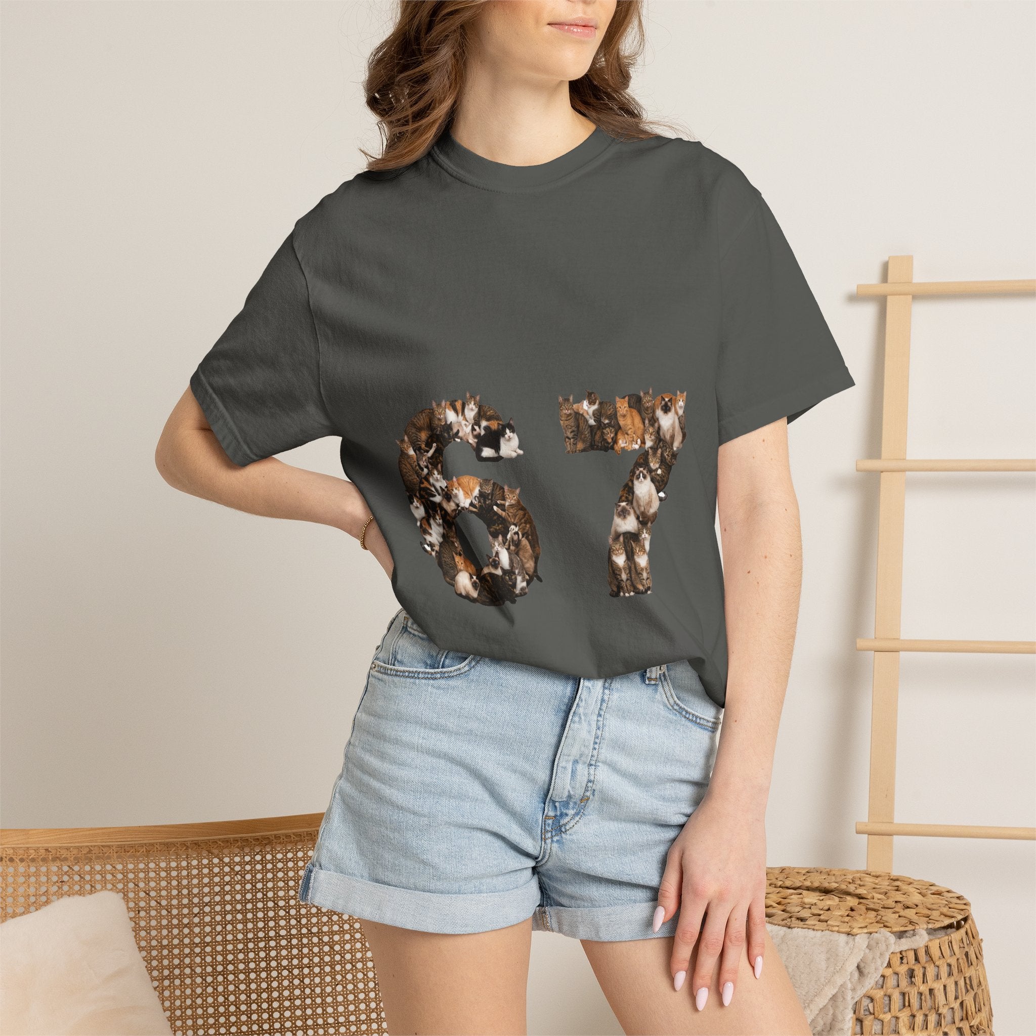 67 Cats Shirt, Funny 67 Meme Cat Tee, Trendy Cat Number Gift, Cat Lover Sweatshirt