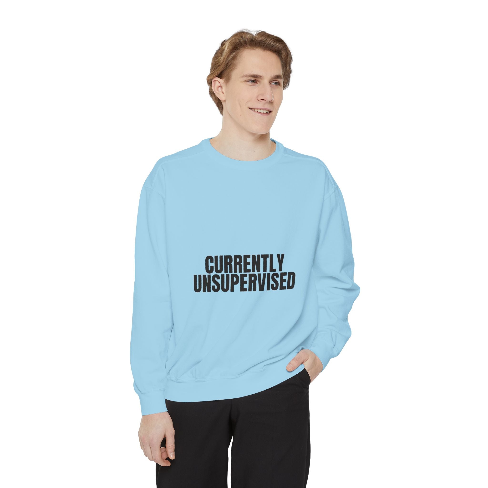 Currently Unsupervised Shirt, Funny Sarcastic Tee, Gag Gift, Humor Sweatshirt