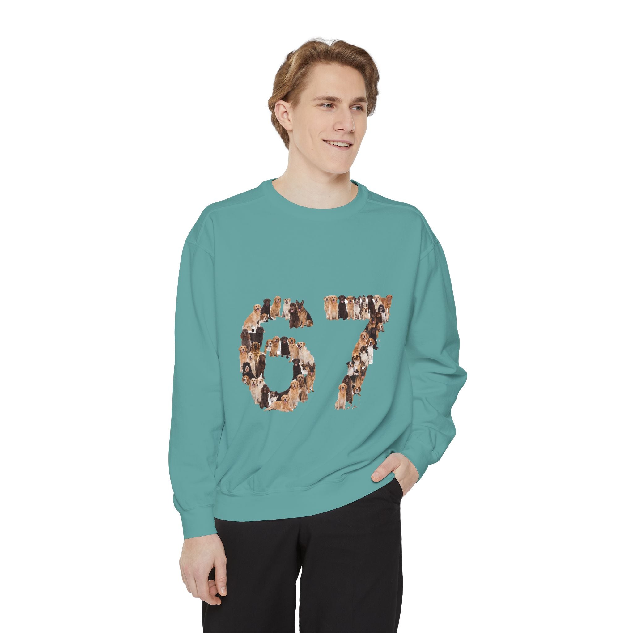 67 Dogs Shirt, Funny 67 Meme Dog Tee, Trendy Dog Number Gift, Dog Lover Sweatshirt