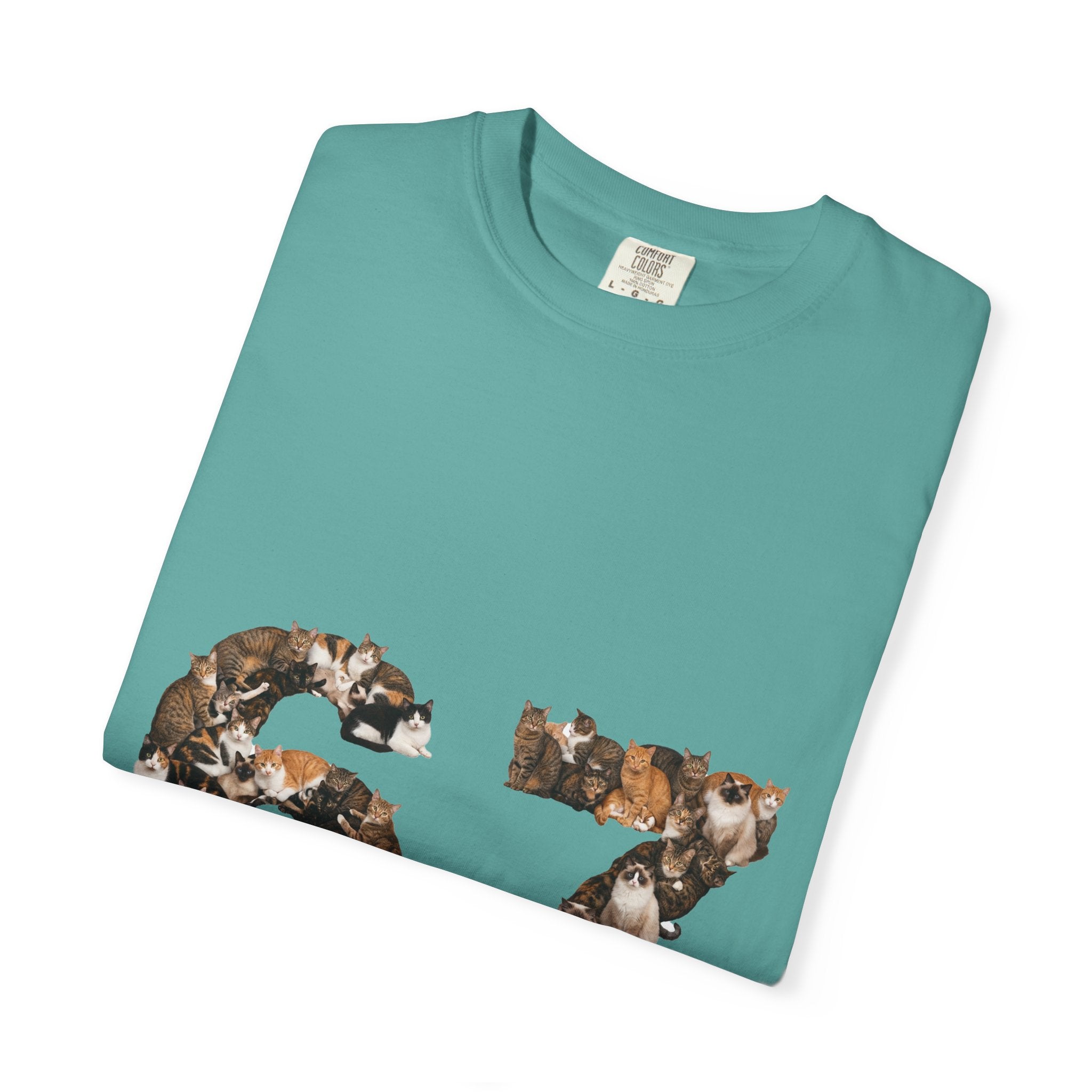 67 Cats Shirt, Funny 67 Meme Cat Tee, Trendy Cat Number Gift, Cat Lover Sweatshirt