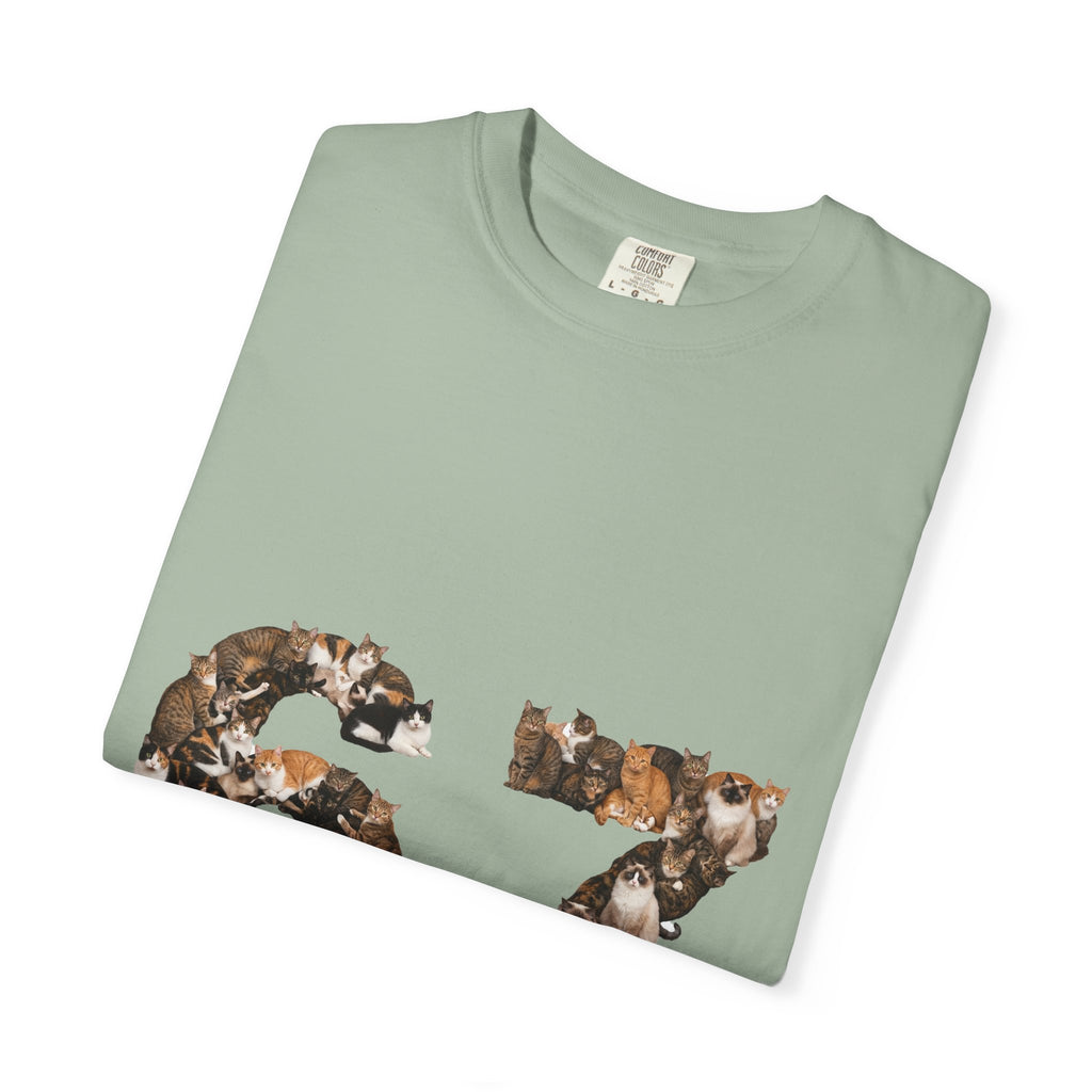 67 Cats Shirt, Funny 67 Meme Cat Tee, Trendy Cat Number Gift, Cat Lover Sweatshirt