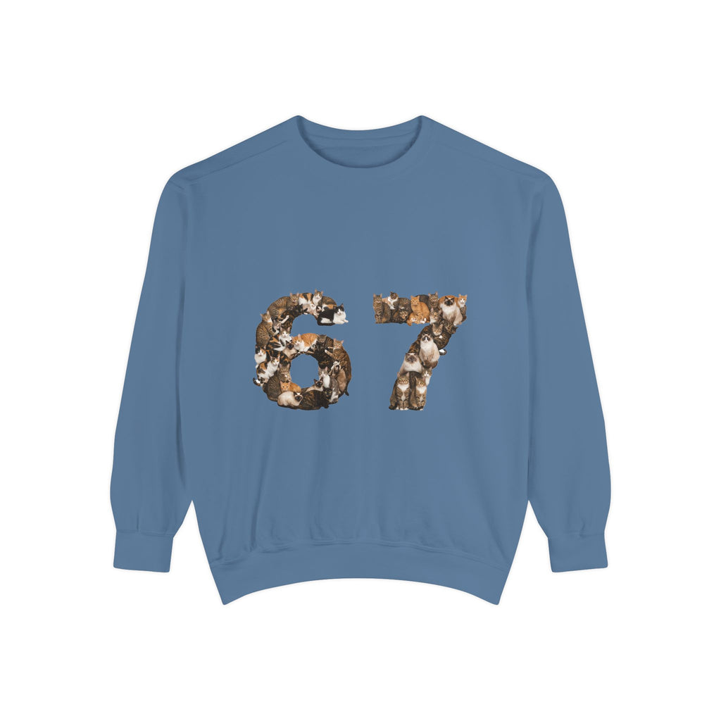 67 Cats Shirt, Funny 67 Meme Cat Tee, Trendy Cat Number Gift, Cat Lover Sweatshirt