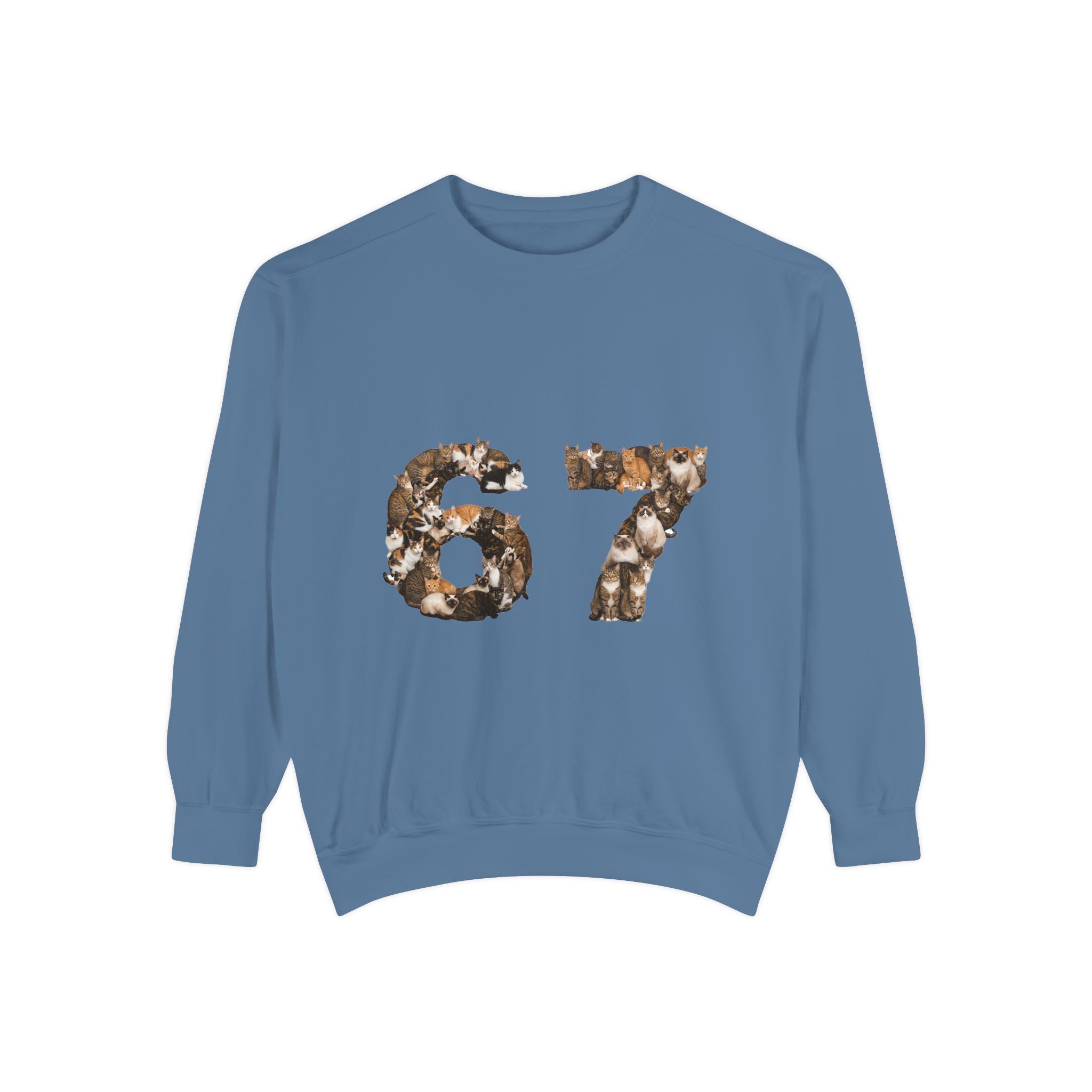 67 Cats Shirt, Funny 67 Meme Cat Tee, Trendy Cat Number Gift, Cat Lover Sweatshirt