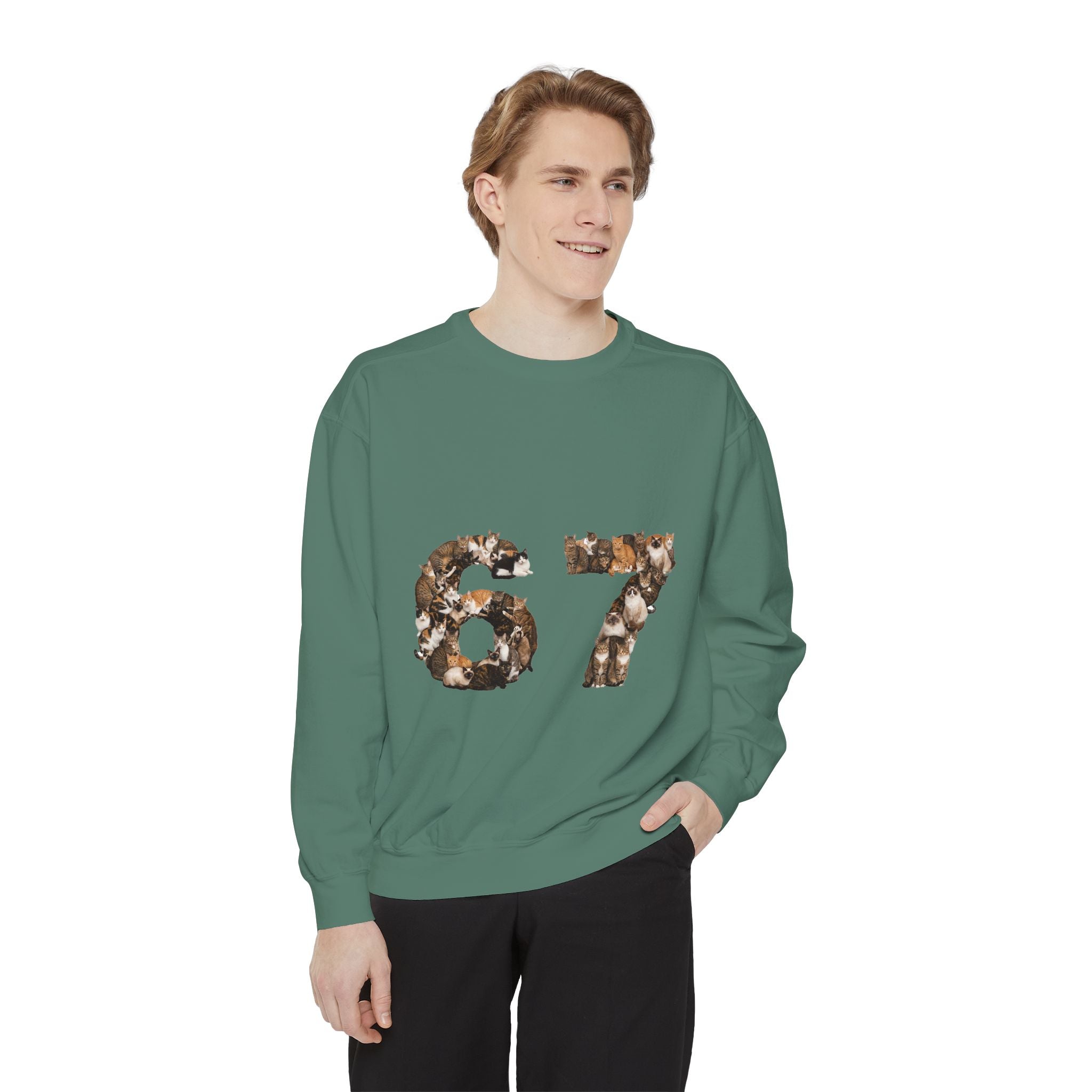 67 Cats Shirt, Funny 67 Meme Cat Tee, Trendy Cat Number Gift, Cat Lover Sweatshirt