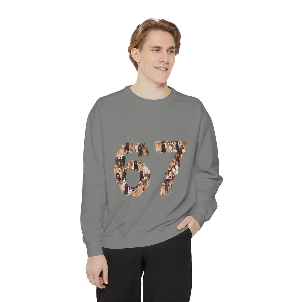 67 Dogs Shirt, Funny 67 Meme Dog Tee, Trendy Dog Number Gift, Dog Lover Sweatshirt