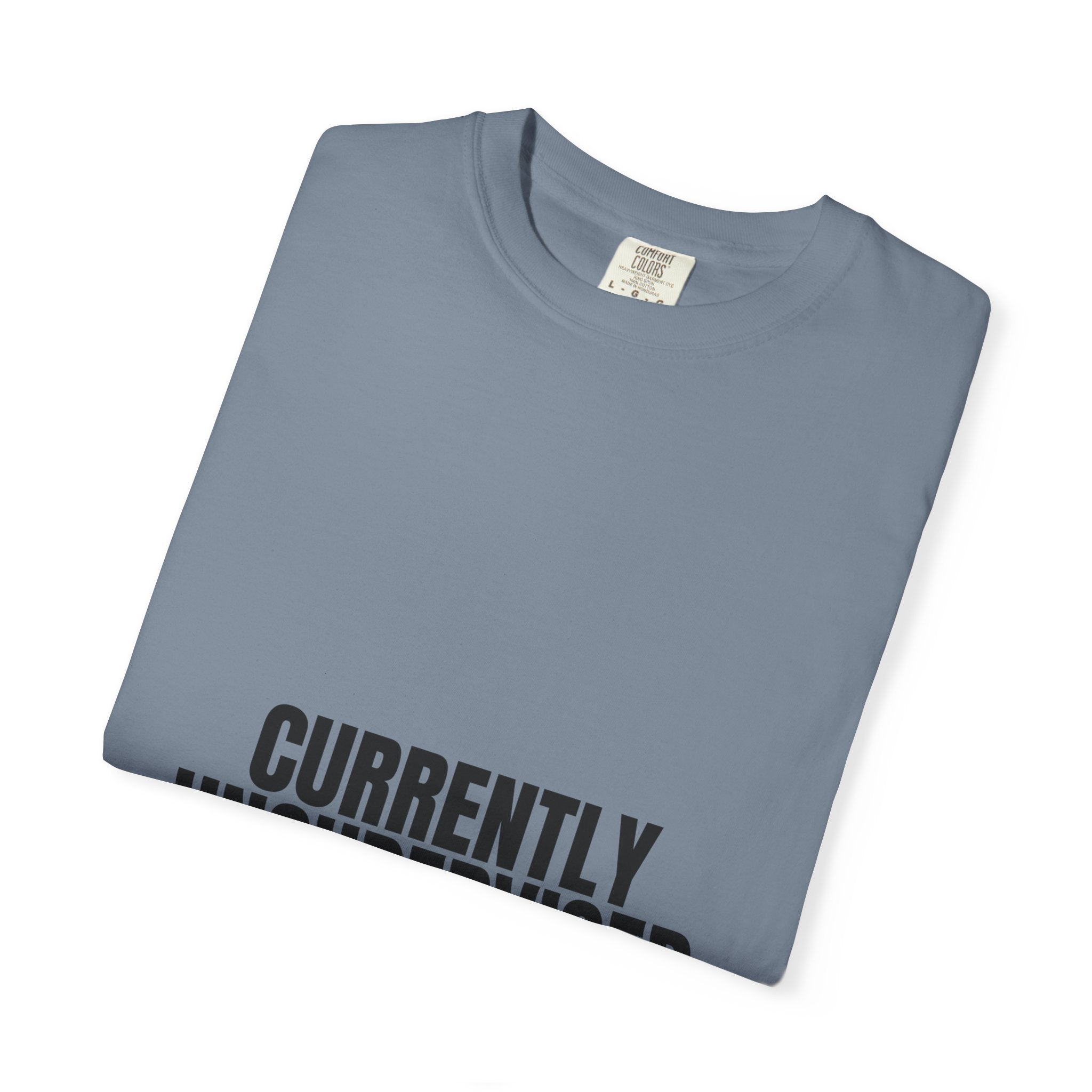 Currently Unsupervised Shirt, Funny Sarcastic Tee, Gag Gift, Humor Sweatshirt