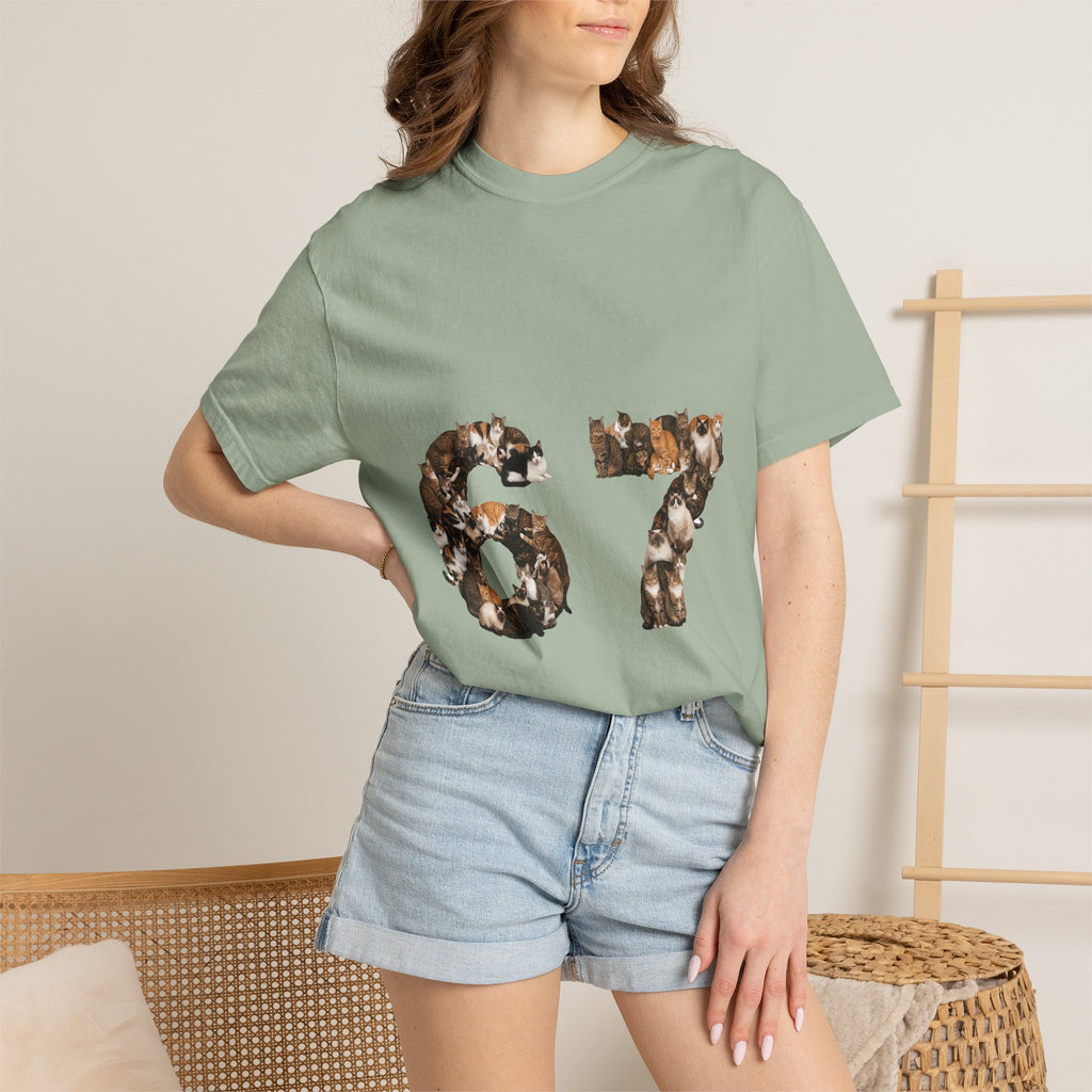 67 Cats Shirt, Funny 67 Meme Cat Tee, Trendy Cat Number Gift, Cat Lover Sweatshirt