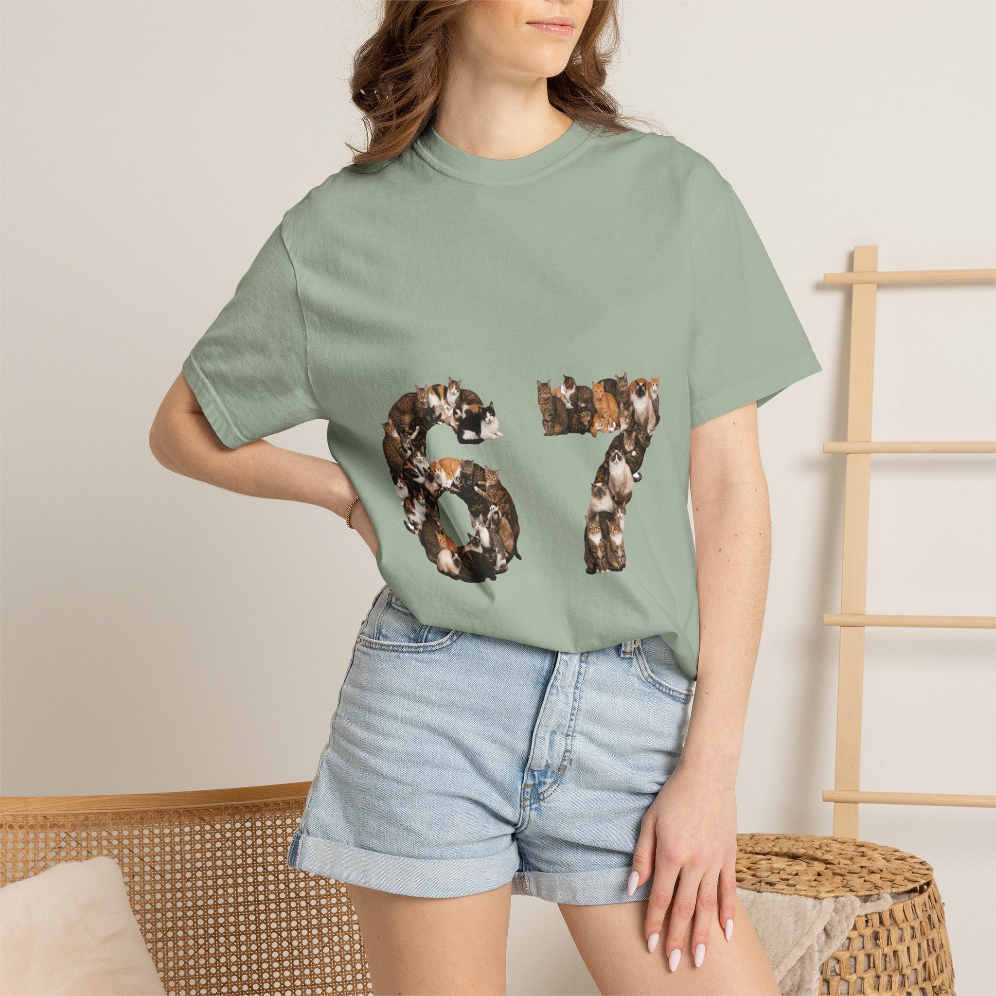67 Cats Shirt, Funny 67 Meme Cat Tee, Trendy Cat Number Gift, Cat Lover Sweatshirt