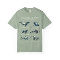 Vintage Ocean Creatures Sweatshirt, Marine Life Field Guide Crewneck, Whale Octopus Sea Turtle Ocean Lover Gift