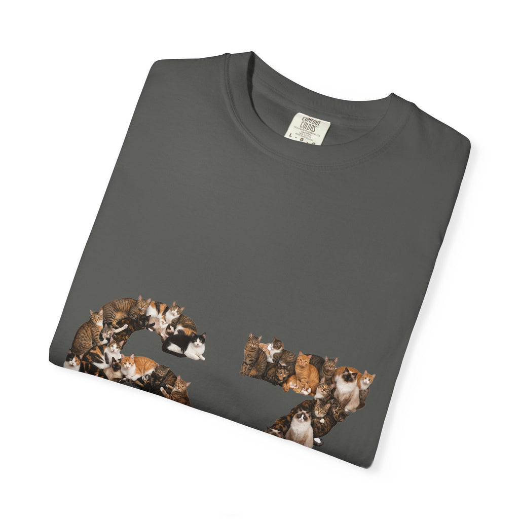 67 Cats Shirt, Funny 67 Meme Cat Tee, Trendy Cat Number Gift, Cat Lover Sweatshirt