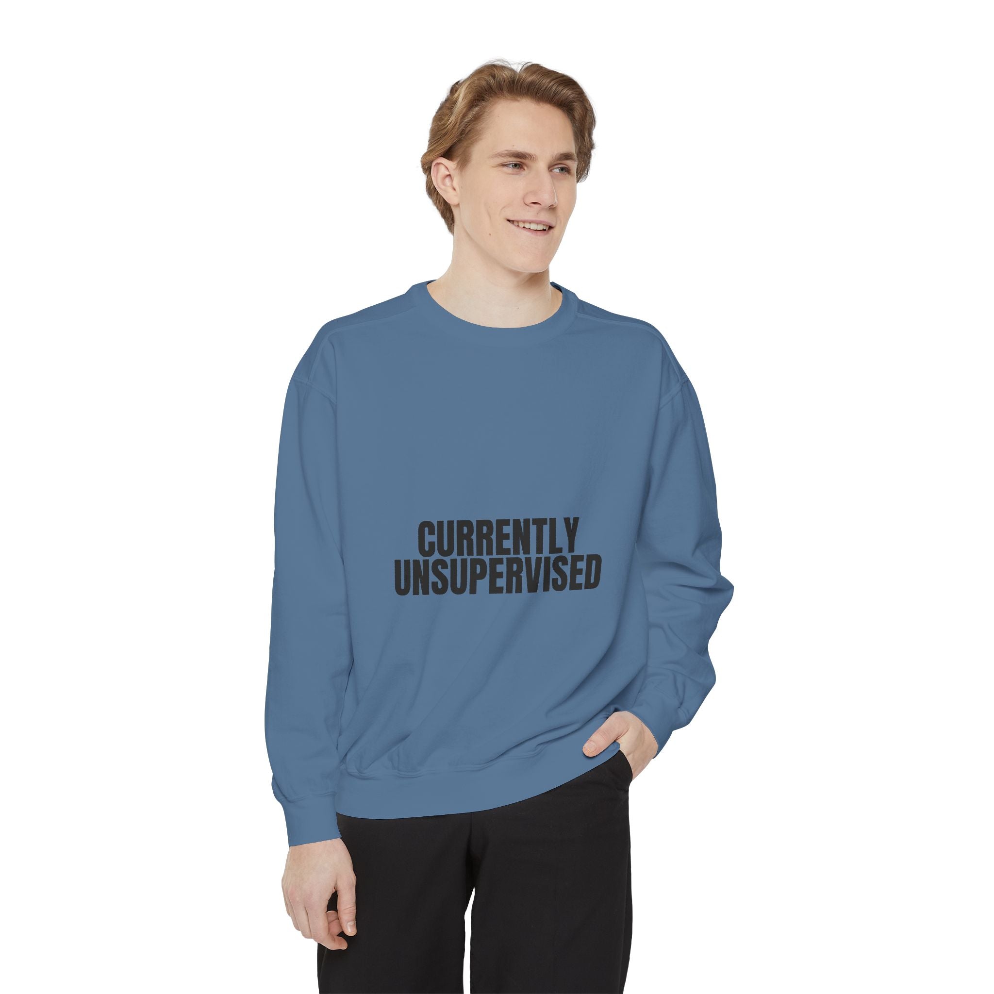 Currently Unsupervised Shirt, Funny Sarcastic Tee, Gag Gift, Humor Sweatshirt