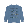 Coastal Giants Ocean Field Guide Shirt, Whale Manta Sea Turtle Tee, Marine Life Ocean Lover Gift, Nautical Sweatshirt