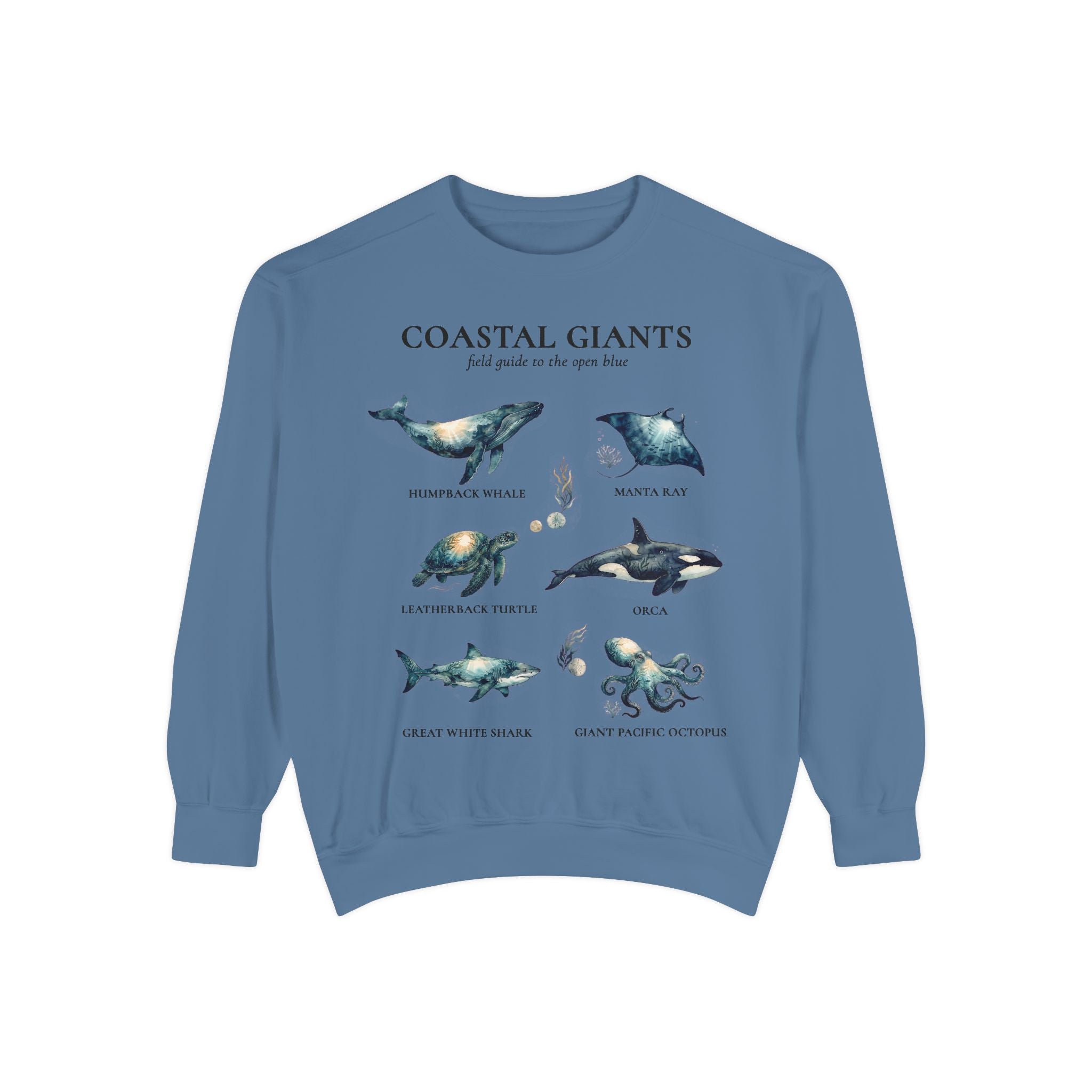 Coastal Giants Ocean Field Guide Shirt, Whale Manta Sea Turtle Tee, Marine Life Ocean Lover Gift, Nautical Sweatshirt