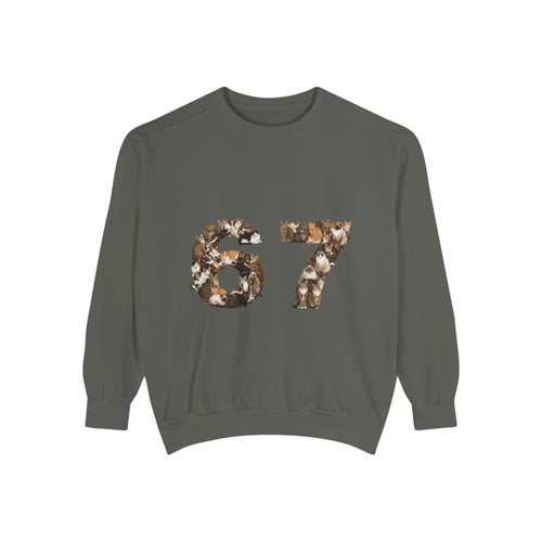 67 Cats Shirt, Funny 67 Meme Cat Tee, Trendy Cat Number Gift, Cat Lover Sweatshirt