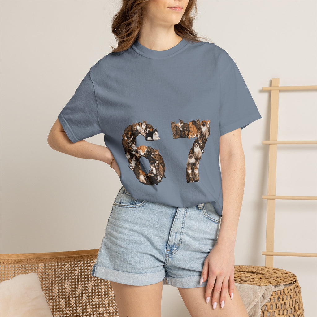 67 Cats Shirt, Funny 67 Meme Cat Tee, Trendy Cat Number Gift, Cat Lover Sweatshirt