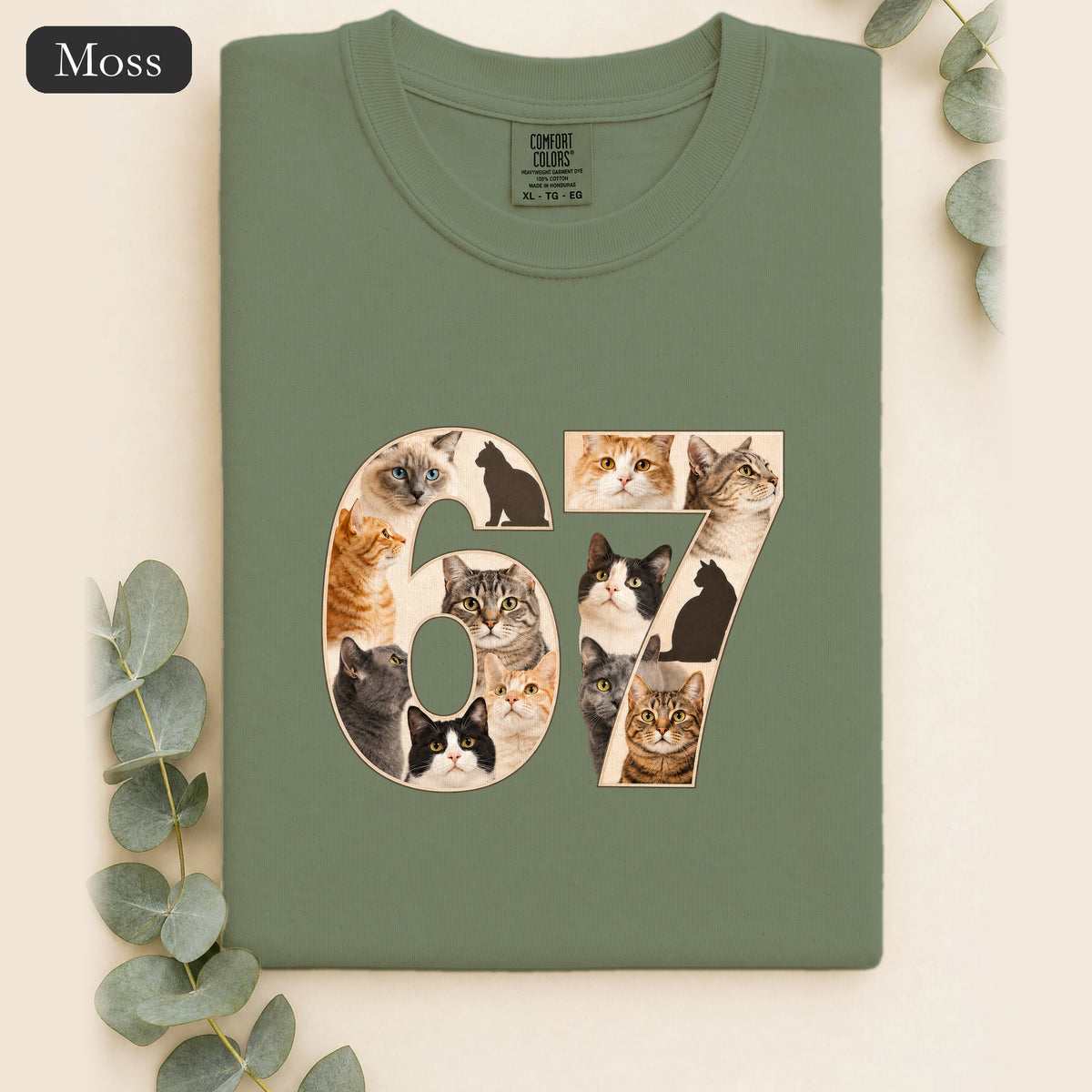 67 Cats Shirt, Funny 67 Meme Cat Tee, Trendy Cat Number Gift, Cat Lover Sweatshirt